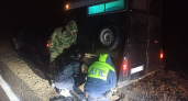 Водитель перевозил лошадь и попал в беду на трассе в Кировской области 