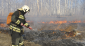 Власти оценили готовность Кировской области к сезону лесных пожаров