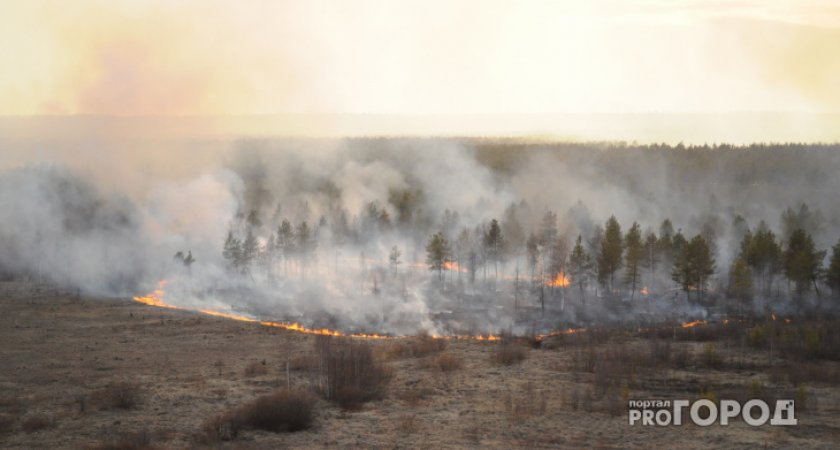 В Кировской области горело 8 гектаров леса