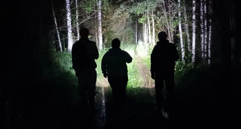 Не вернувшуюся домой жительницу Кировской области нашли мертвой 