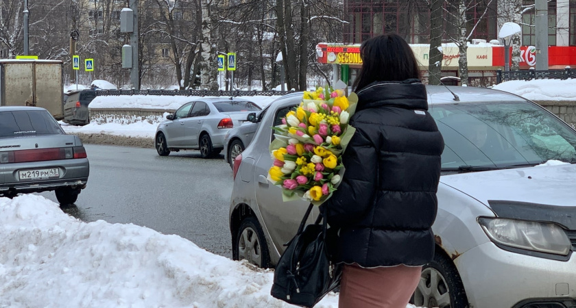 30 тысяч тюльпанов к 8 марта вырастила семья из Кировской области 