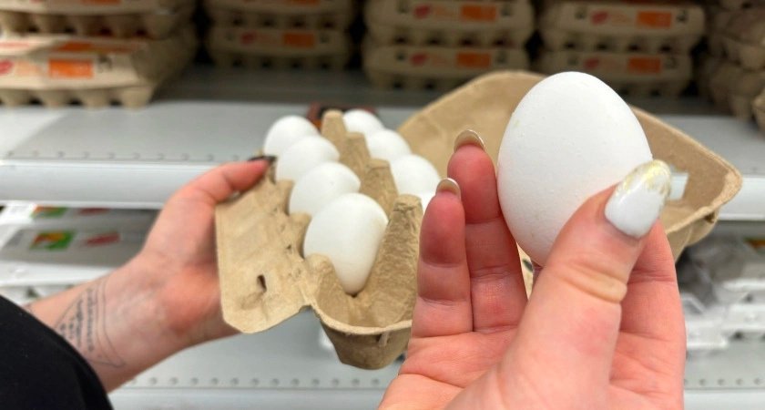 В кировский детский сад завезли напичканные антибиотиками куриные яйца