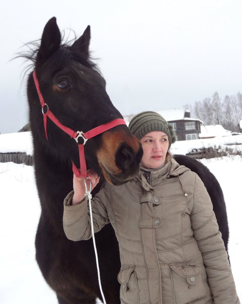 В Кировской области лошади спасают тяжелобольных детей