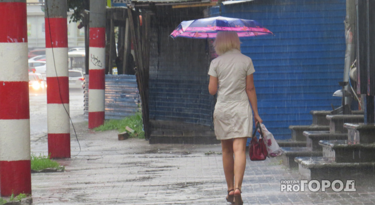 Прогноз погоды: предстоящая рабочая неделя в Кирове будет дождливой