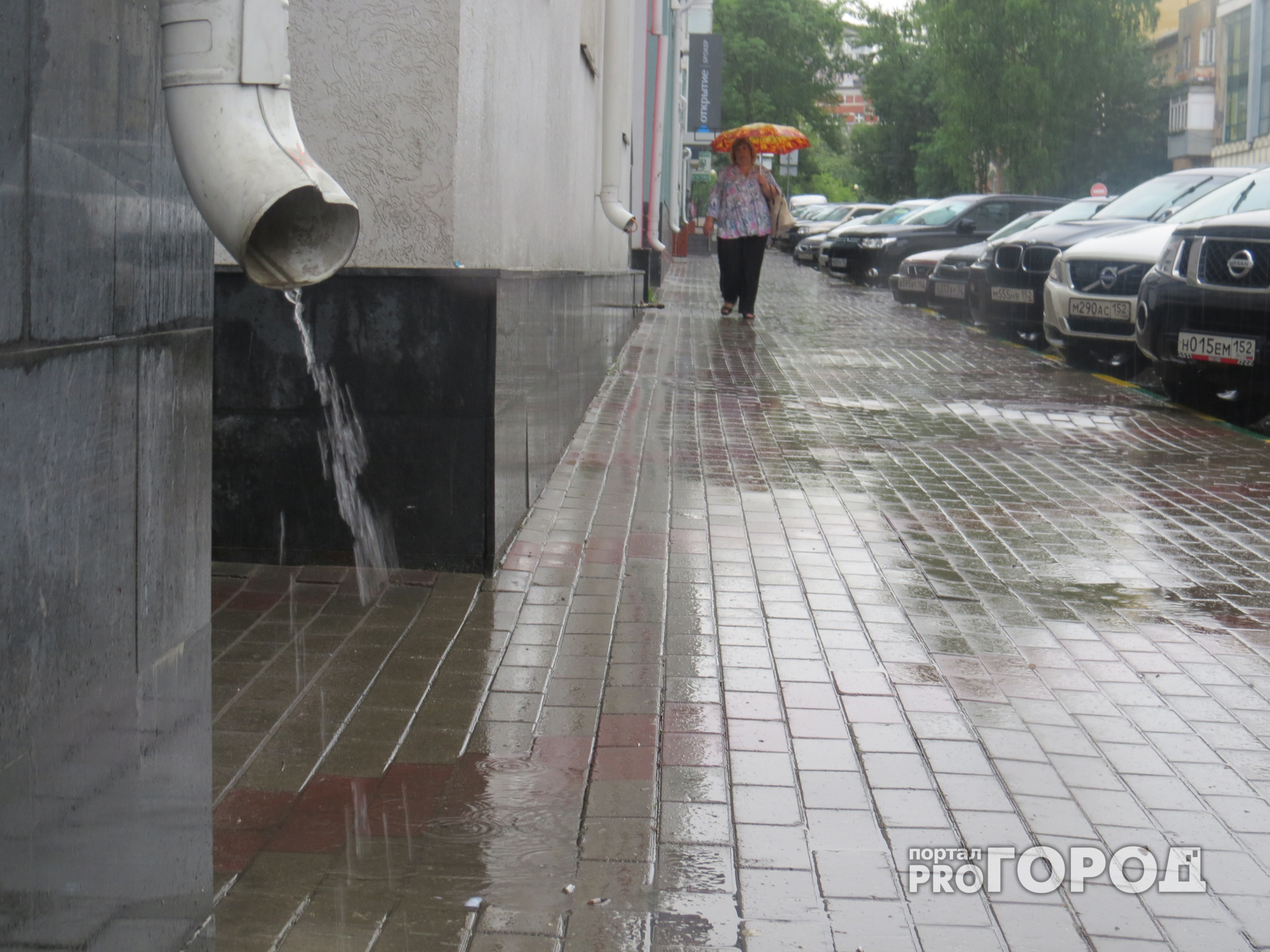 Прогноз погоды: закончатся ли дожди в первую неделю июля в Кирове?