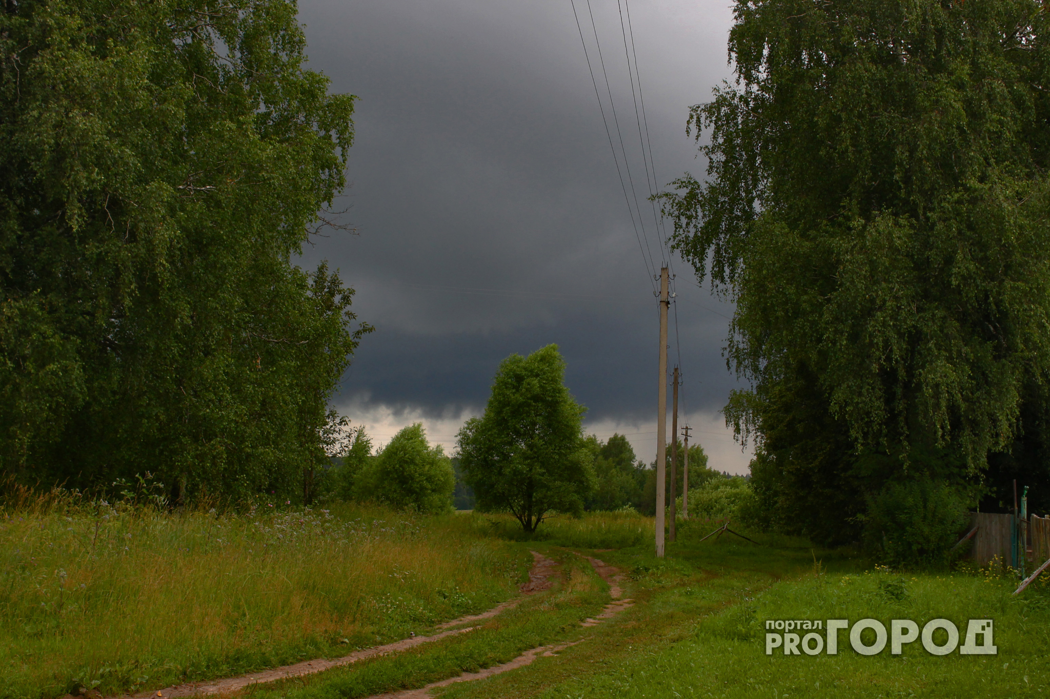 Дожди и грозы: МЧС опубликовало прогноз погоды в Кирове на вторник