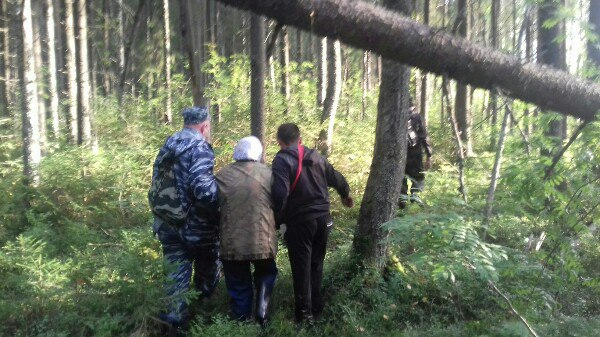 В Кировской области полицейские вынесли из леса заблудившуюся женщину