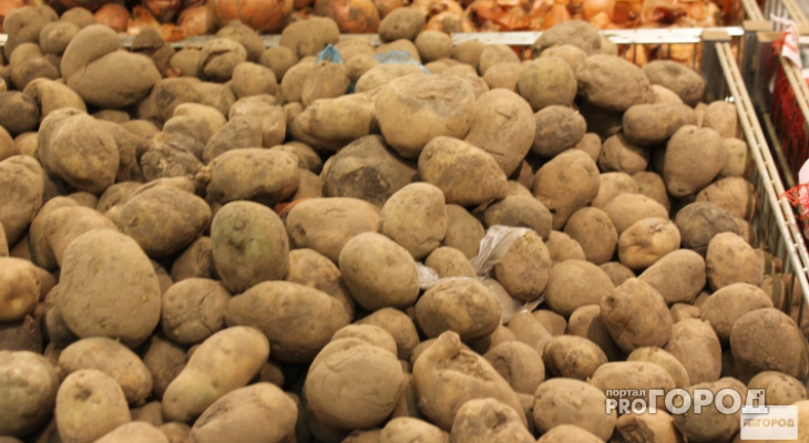 Кировчане массово скупают картошку из-за возможного скачка цен