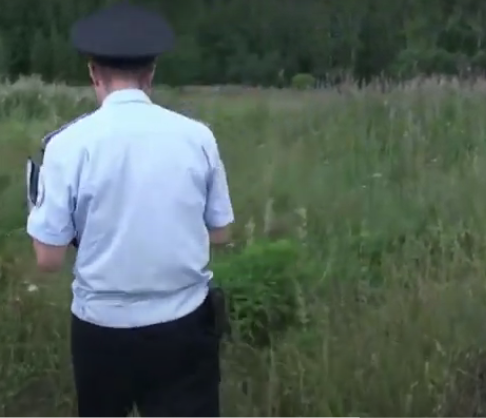 За 10 дней полицейские Кировской области выявили 8 участков, на которых росли мак и конопля