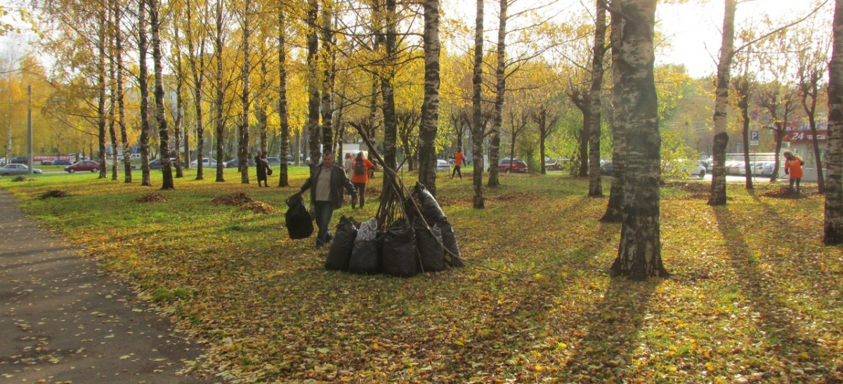 В Кирове в Александровском парке прошел общегородской субботник