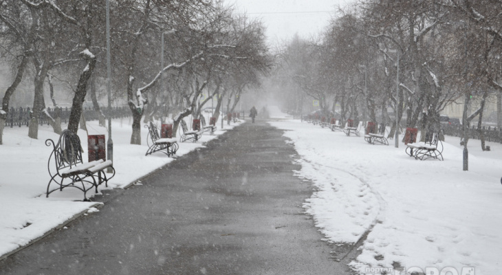 До -19 и снежно: прогноз погоды в Кирове на неделю