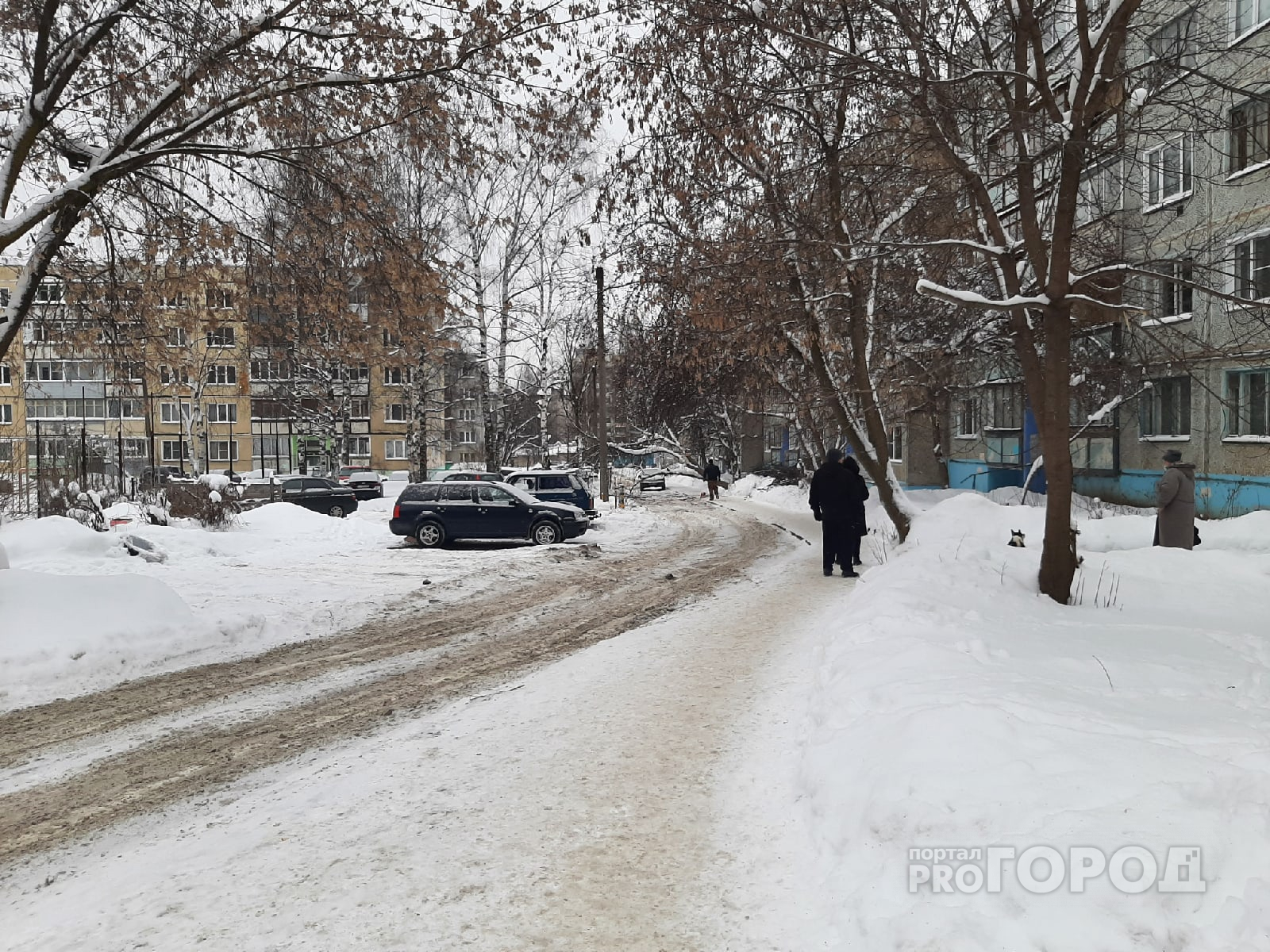 Снег и умеренный холод: известен прогноз погоды на 2 января в Кирове