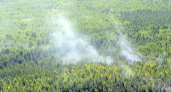 В Кировской области искусственный интеллект обнаружил 3 лесных пожара