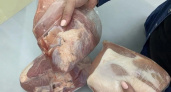 В Кирове Комбинат питания отправил в садики и школы 3,5 тонны мяса с продленным сроком годности