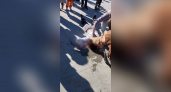 СК проводит проверку по факту травмирования ребенка в кировском скейт-парке