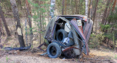 В Вятскополянском районе водитель "двенашки" погиб, влетев на скорости в дерево