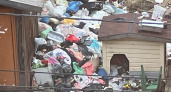 “Крысы бегут размером с кошку”: дом в центре Кирова завален мусором