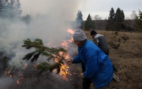 В Кировской области жители деревни помогли спасателям предотвратить лесной пожар