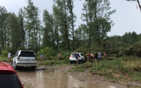 В Кировской области десятки машин оказались в западне из поваленных деревьев