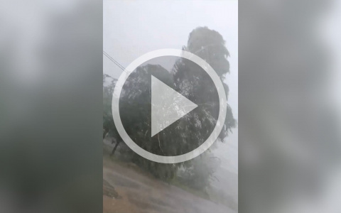 В Нолинске ураган снес теплицы и крыши домов: фото и видео