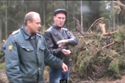 В Кировской области в лесу нашли труп пропавшего мужчины: подробности происшествия