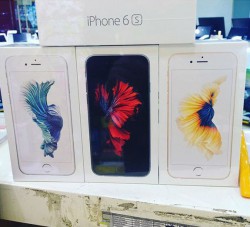 В Кирове начались продажи нового iPhone 6s: сколько стоит гаджет