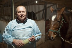Кировчанин вылечил любимого коня Владимира Путина