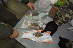 На границе Украины задержали наркомана, который вез в Кировскую область галлюциногенные грибы