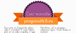Смс-жалобы от читателей progorod43.ru: странные вопросы в обувном и пешеходный налог