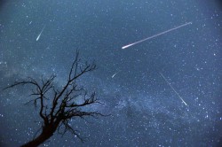 Кировчане увидят десять звездных дождей до Нового года