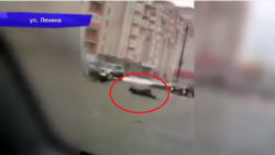 Видео: в Кирове неадекватный пешеход катился вдоль улицы Ленина