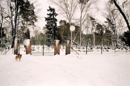 Ограды на кладбище своими руками: простые и доступные решения