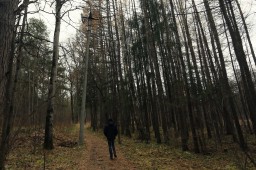 В Кировской области в лесу найдено расчлененное тело пропавшего мужчины