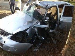 В Кировской области «Приора» влетела в дерево: пострадавшего вырезали из искореженного авто
