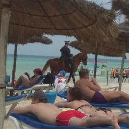 Кировчанка о Тунисе: «Пляжи здесь патрулируют полицейские с оружием»
