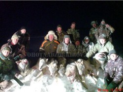 В Кировской области убили стаю из семи волков
