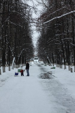 В кировских парках и скверах запретили строить кафе