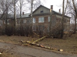 Ураган в Кирове: сильный ветер снес деревья, заборы и даже штаны