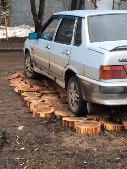 В Кирове автолюбитель оборудовал парковочное место с помощью спилов