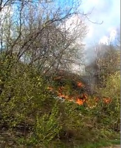 Видео: кировчане, чтобы спасти свои сады, из ведер тушили пожар на Филейке