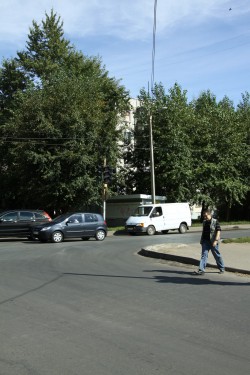 На Октябрьском проспекте в Кирове посадят новые деревья