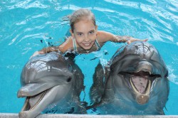 Редкое впечатление: где пообщаться с дельфиненком? Внесите в летние каникулы вашего ребенка яркое событие