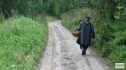 Чудесное спасение: в Кировской области вынесли из леса обессилевшего дедушку-грибника