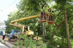 Улицу Советскую в Кирове перекрыли: рабочие валят деревья