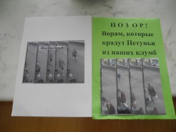 В Кирове видеокамеры засняли старушек, которые крадут цветы с городских клумб