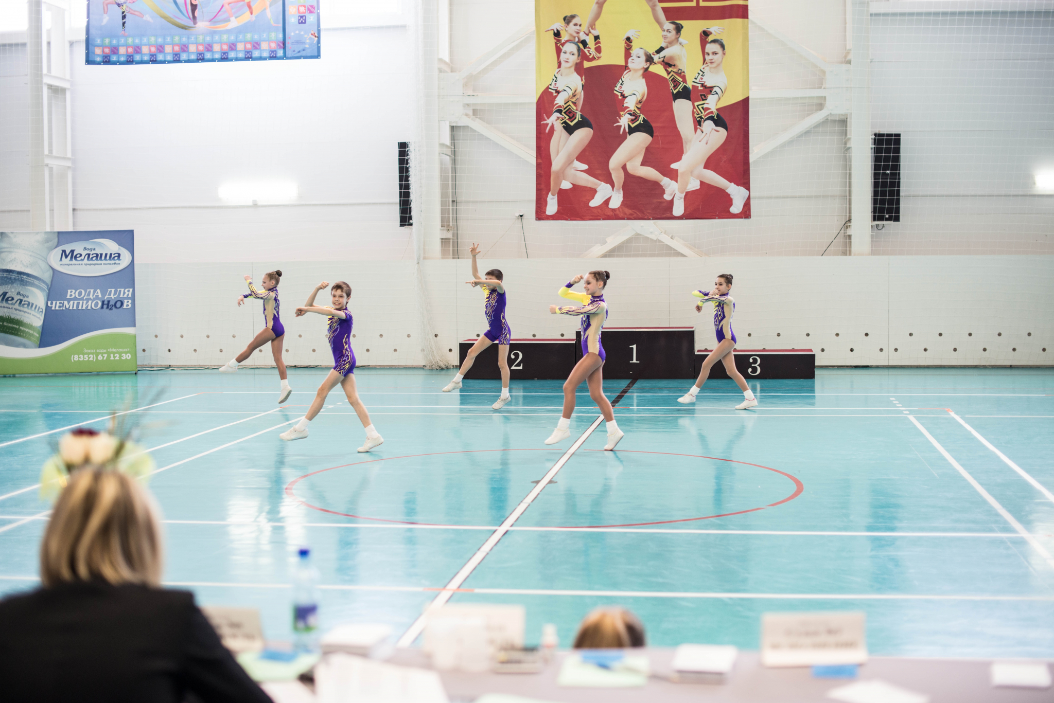 Первенство Кировской области на призы Федерации по художественной гимнастике 