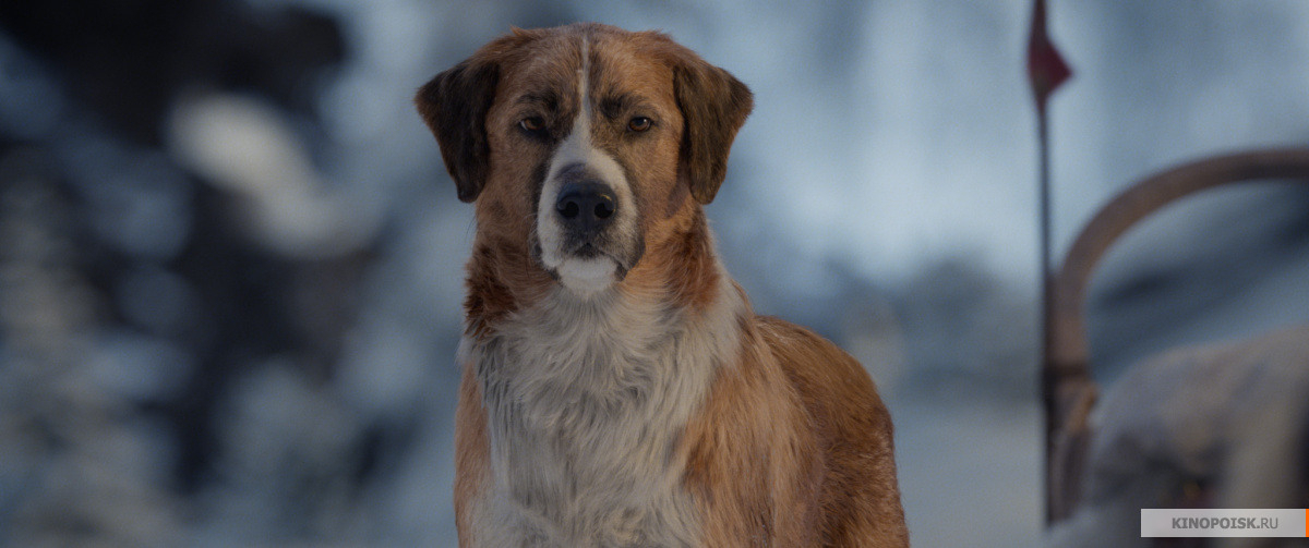 Зов предков