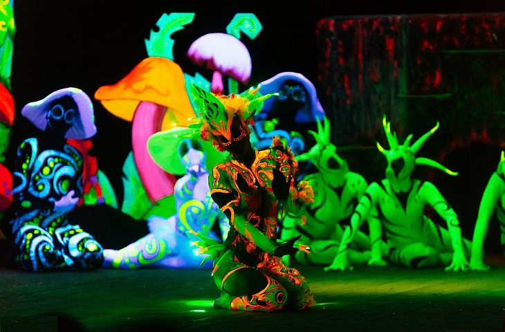 Световой спектакль «Волшебный лес» (6+)