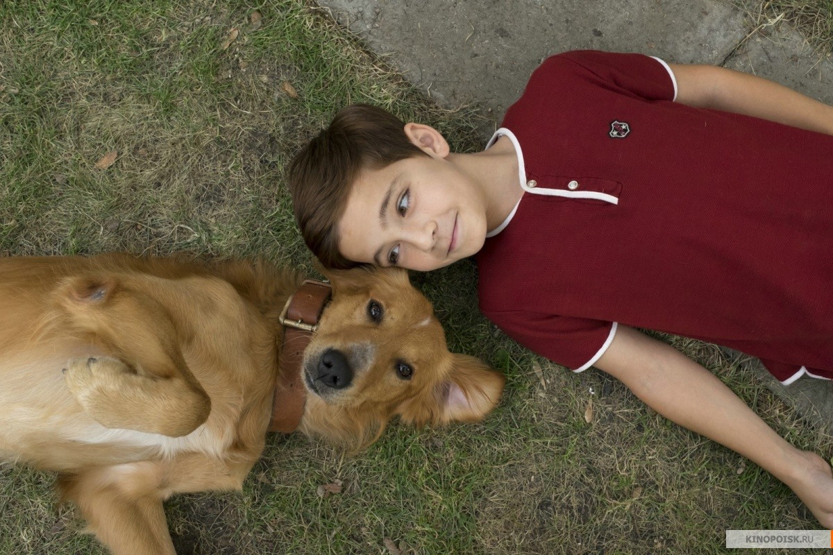 Собачья жизнь