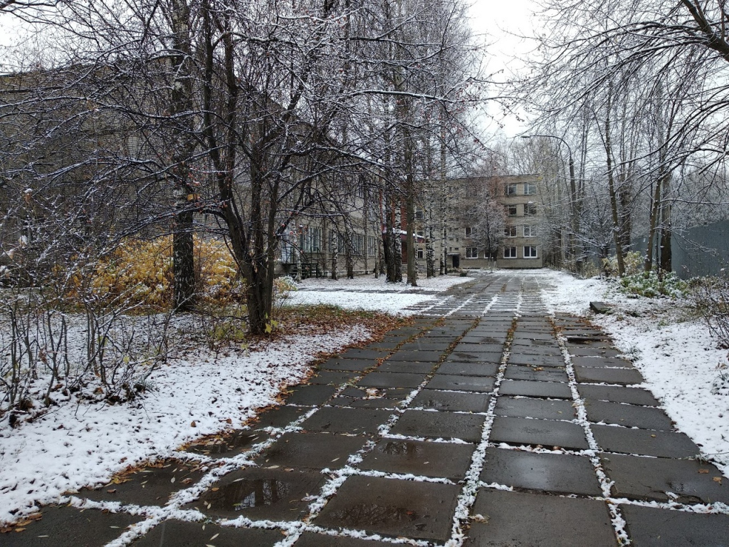 В россии выпадет снег. Выпал первый снег. Первый выпавший снег. Первый снег Кирово Чепецк. Выпал снег первый снег.
